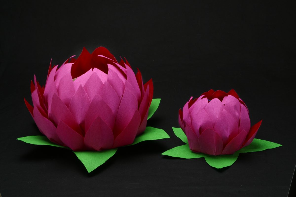 Fold a Paper Lotus Flower - Education - Asian Art Museum