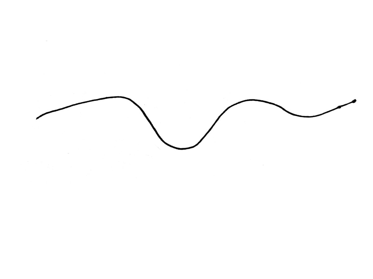 Detail view of drawing an eel activity.