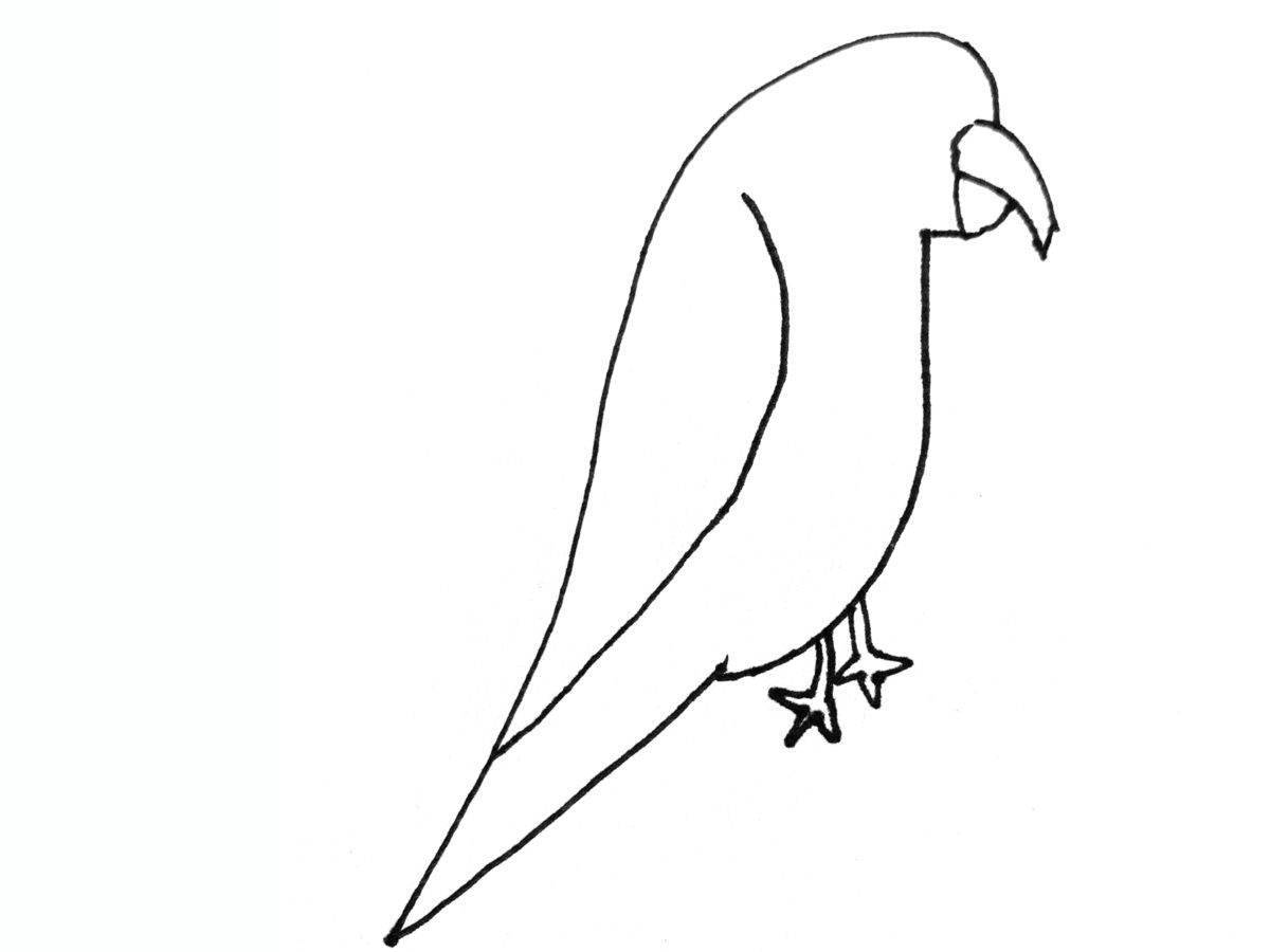 Detail view of drawing a bird activity.
