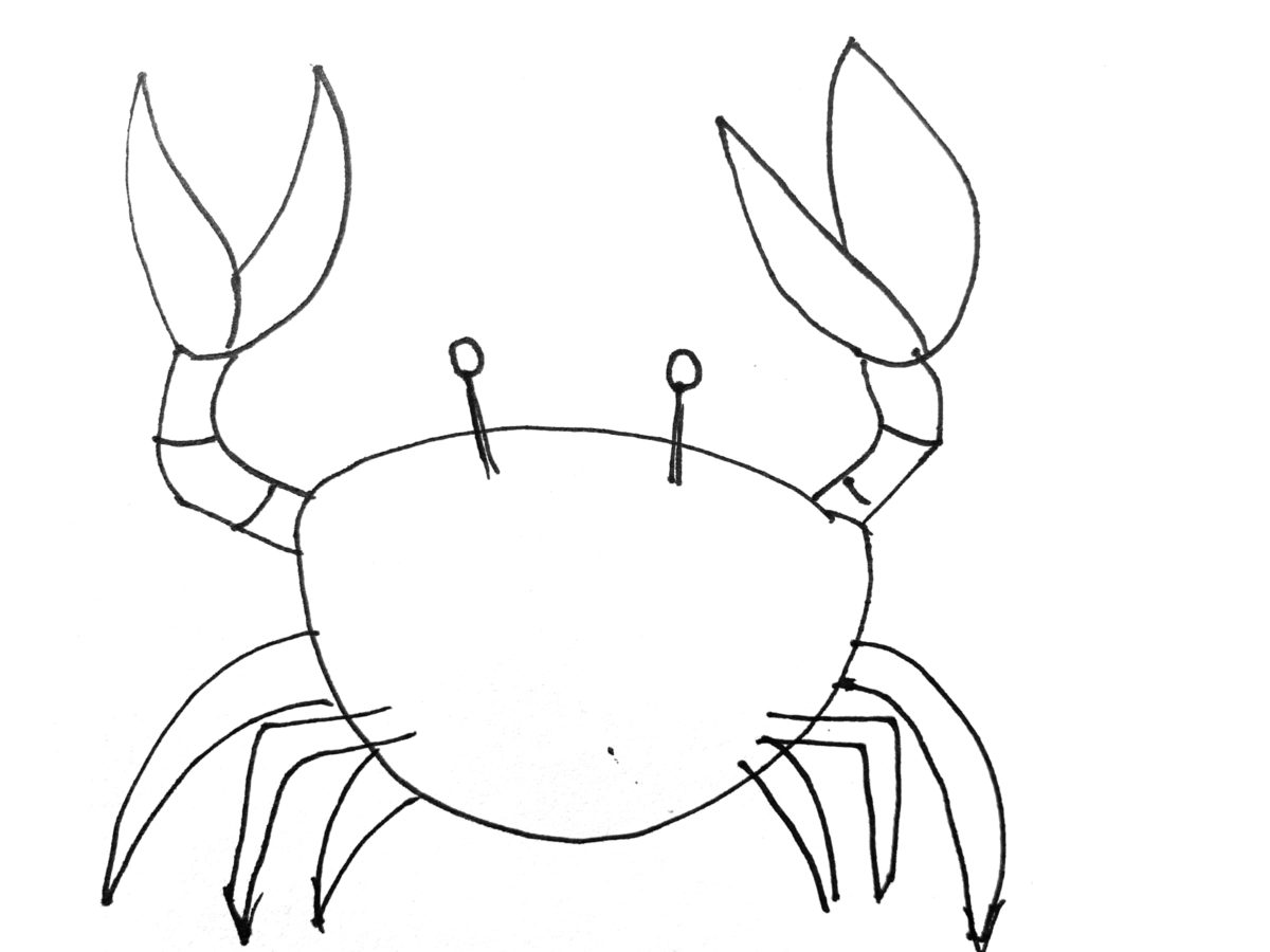 Detail view of drawing a crab activity.
